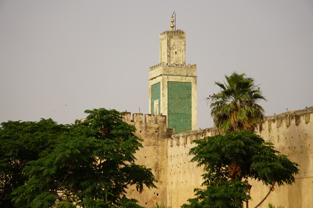 Paysage de Al-Salloum
