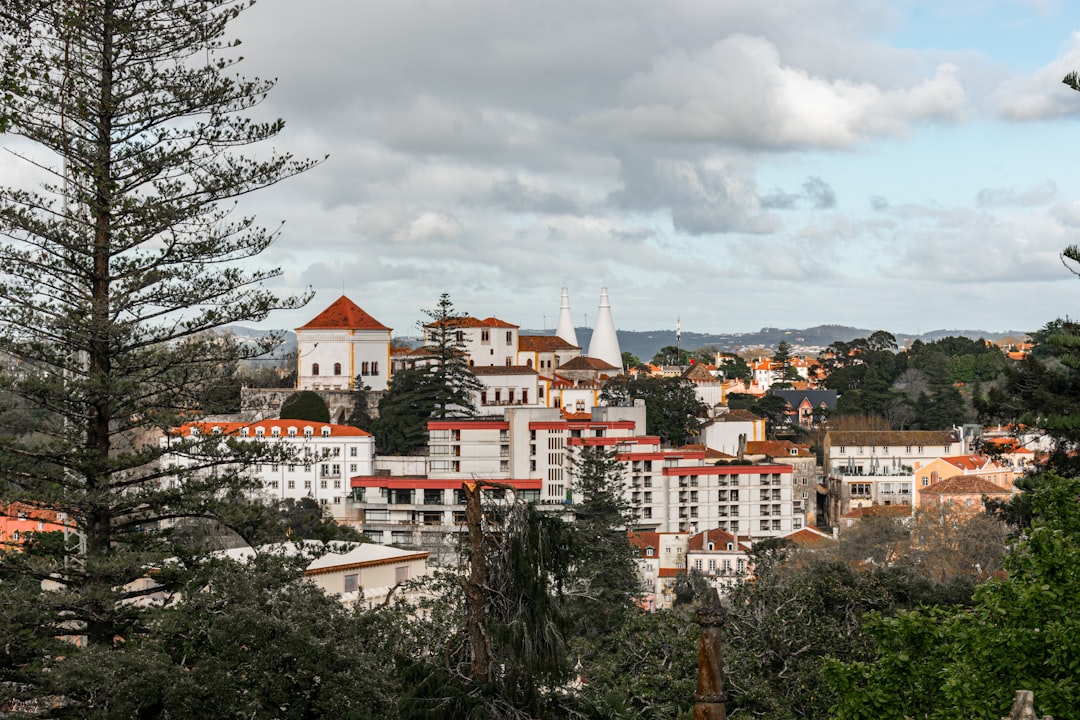 Paysage de Amadora