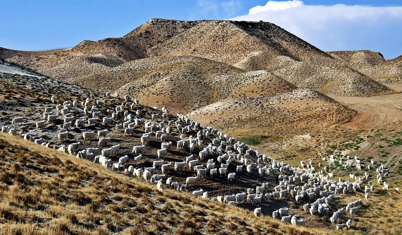 Paysage de Ankara