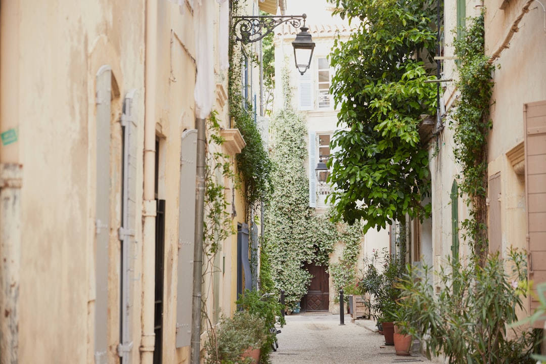 Paysage de Arles
