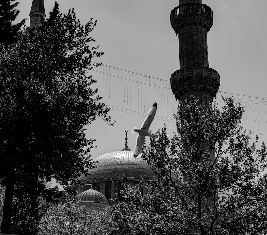 Paysage de Artvin
