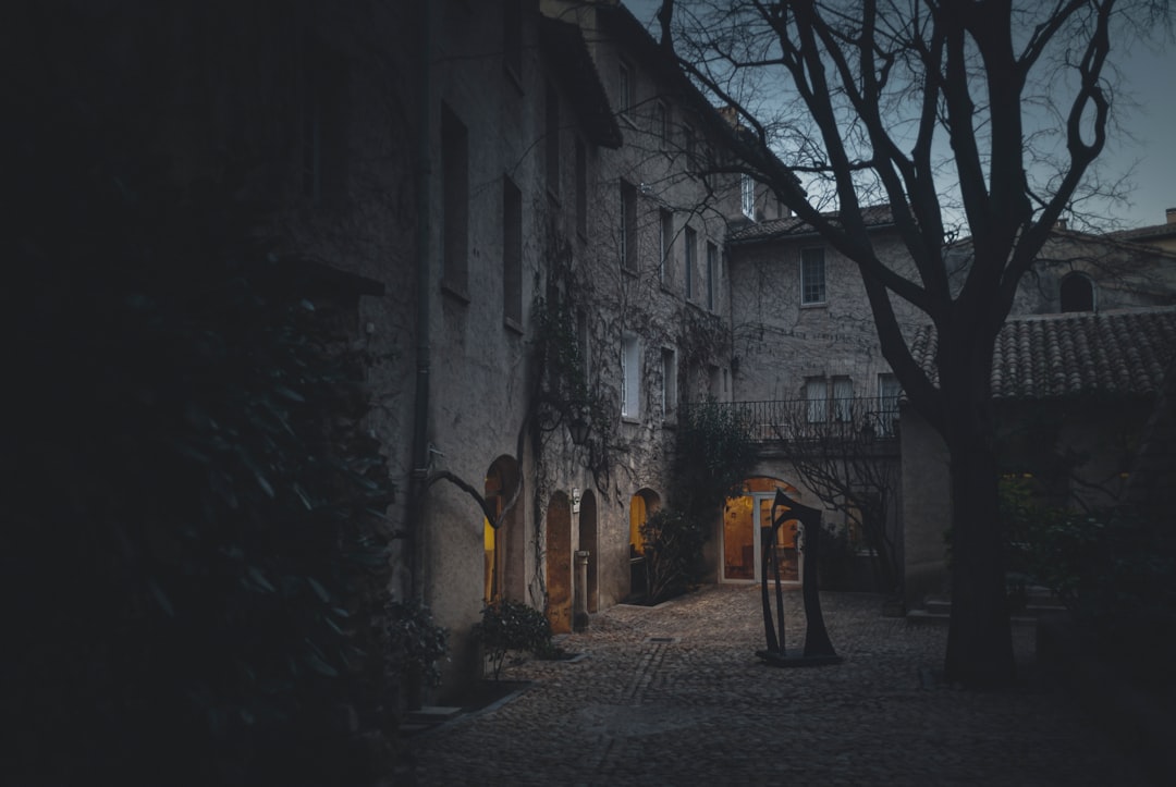 Vue de Avignon