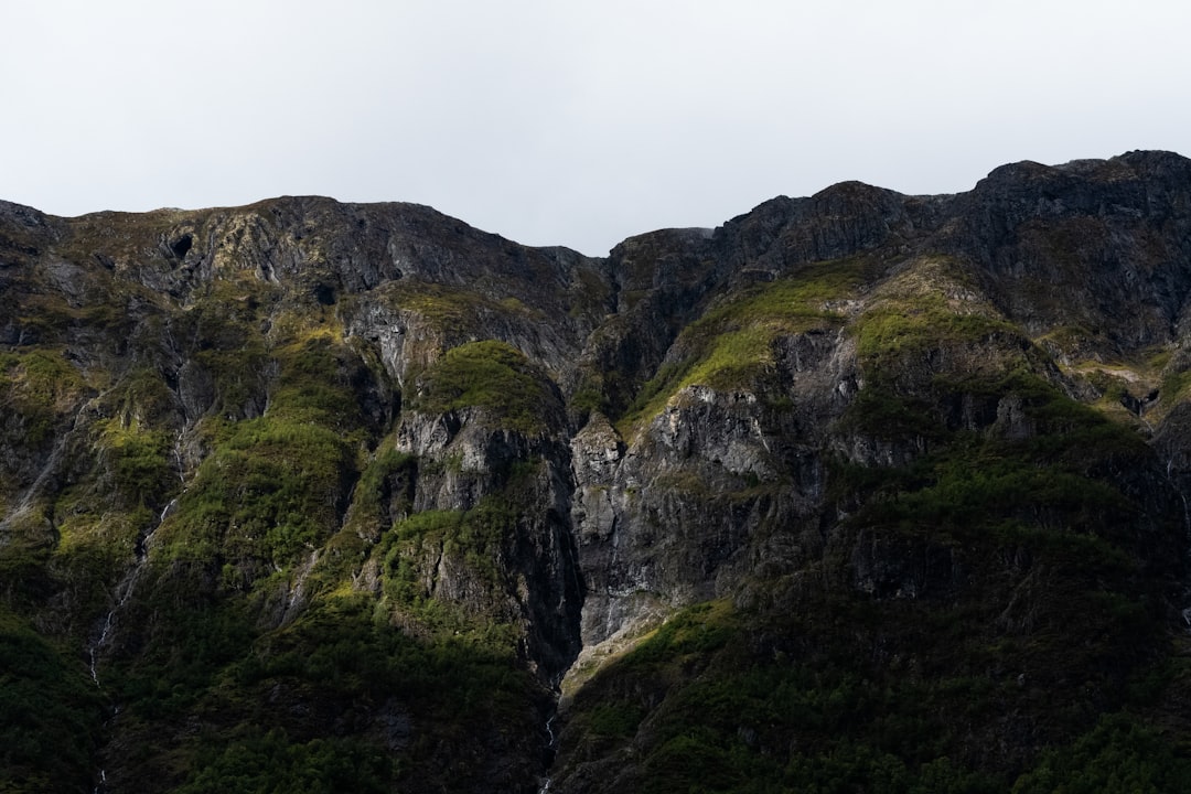 Paysage de Berg en Dal
