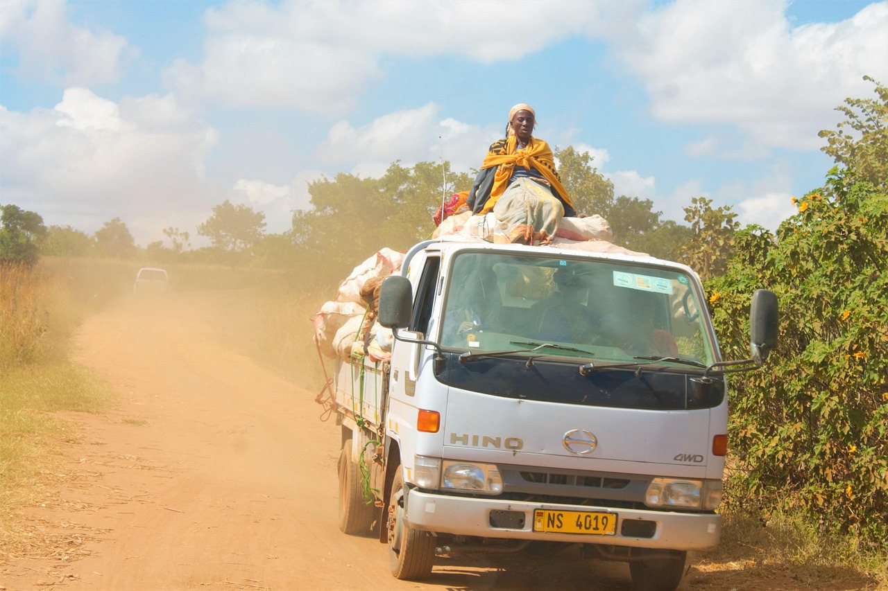 Paysage de Blantyre Bangwe