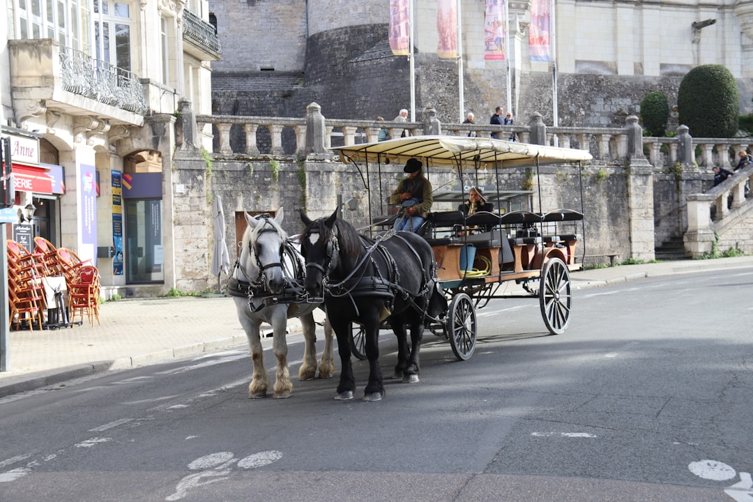 Vue de Blois
