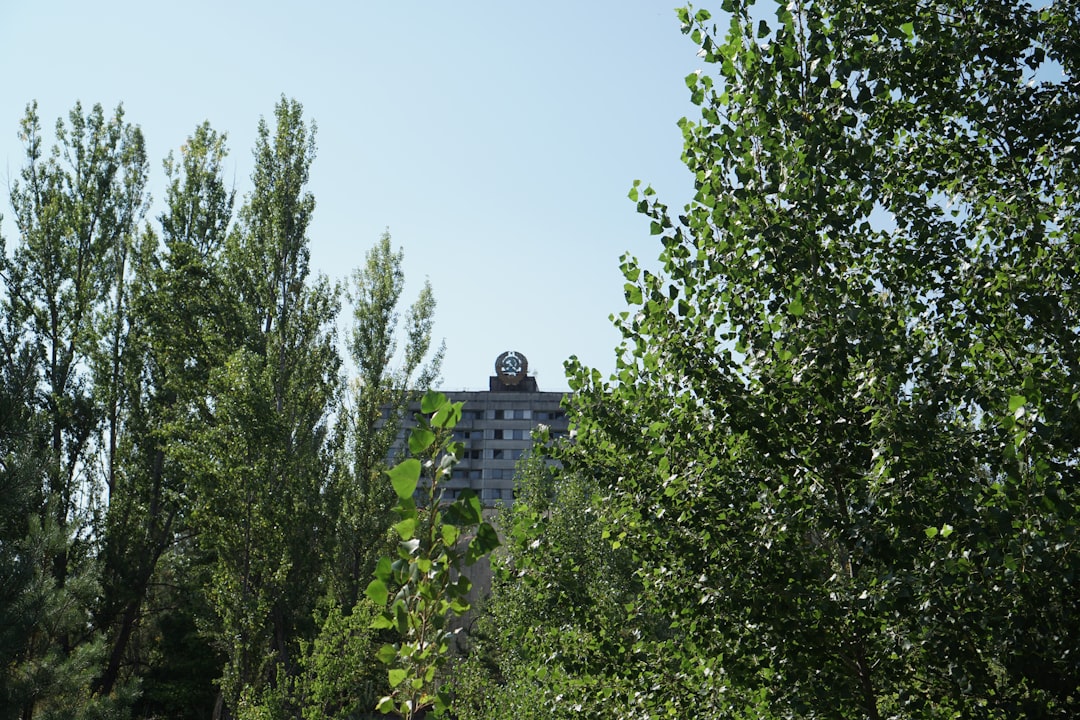 Vue de Buinsk