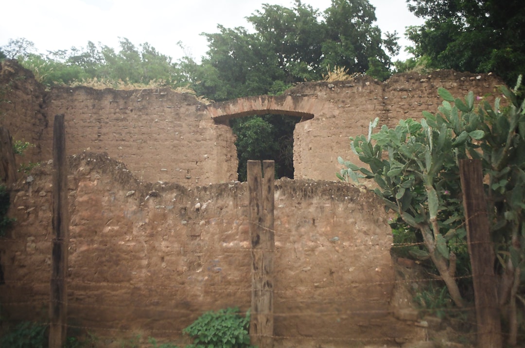 Paysage de Chatra