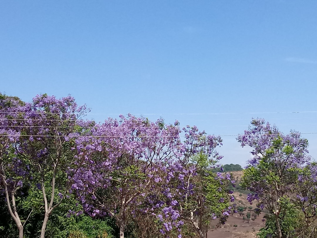 Vue de Chilumba