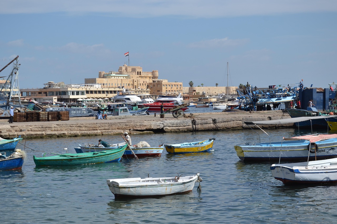 Paysage de El-Maamoura