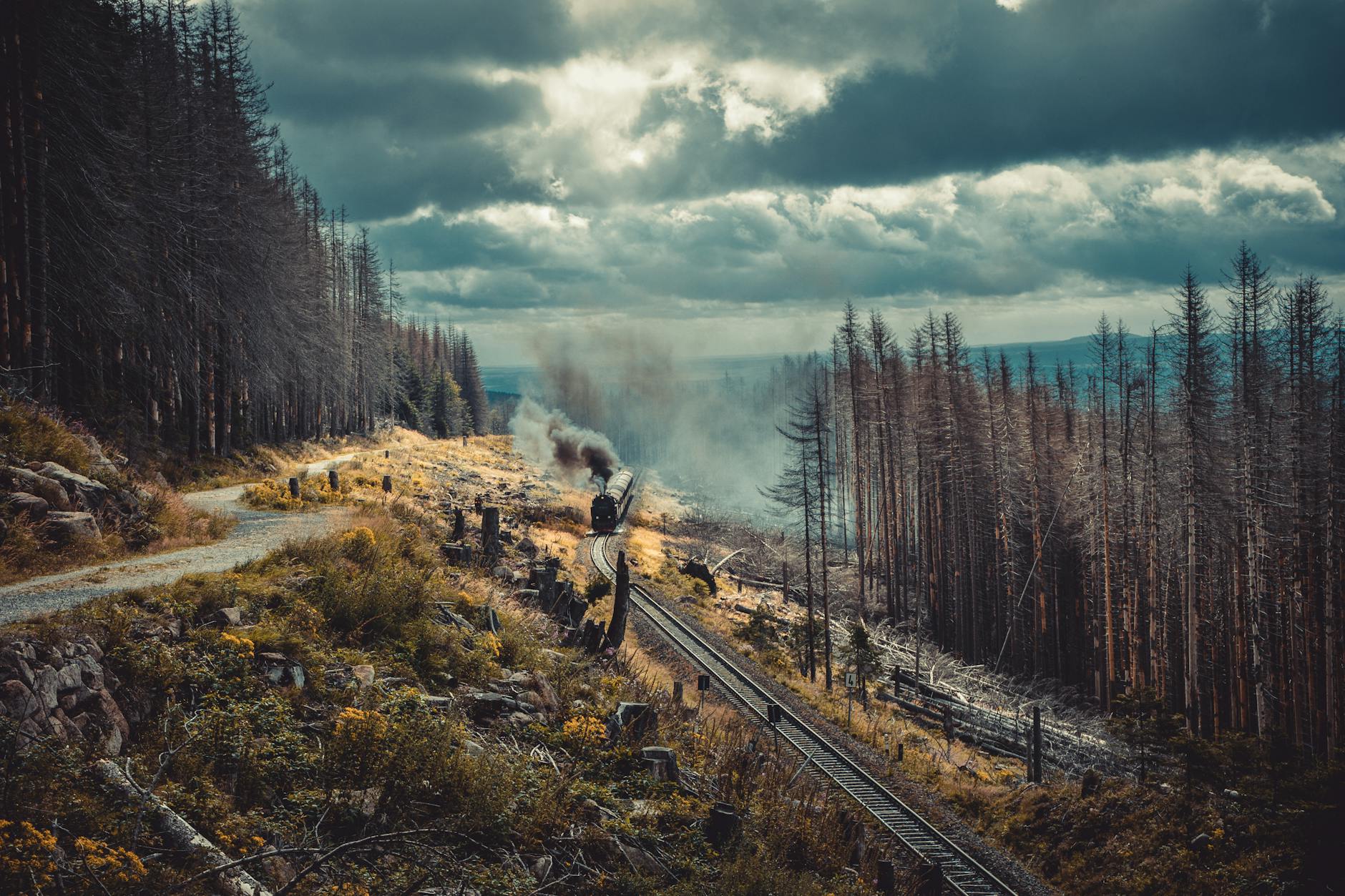 Paysage de Elbingerode (Harz)