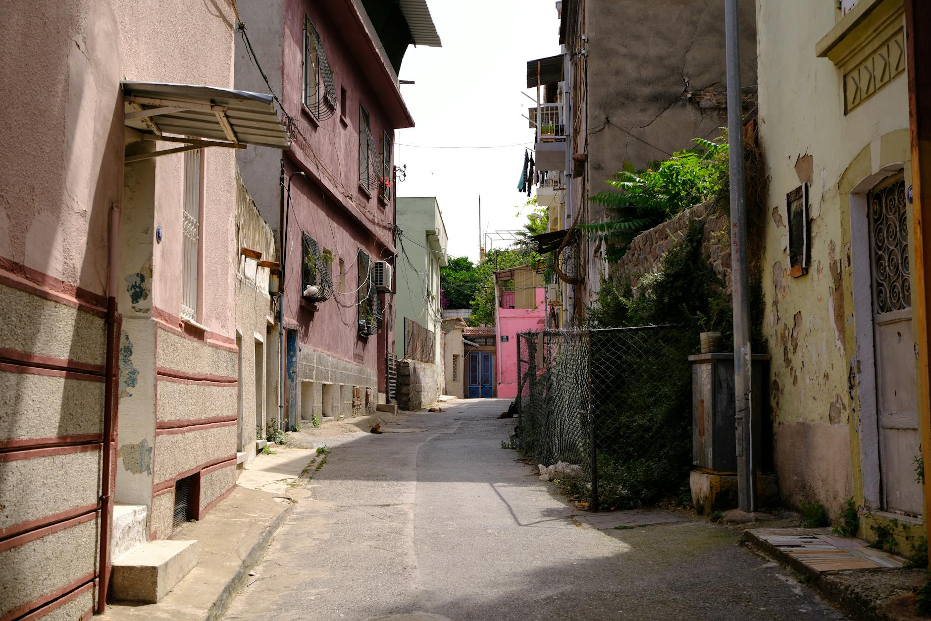 Paysage de Providencia