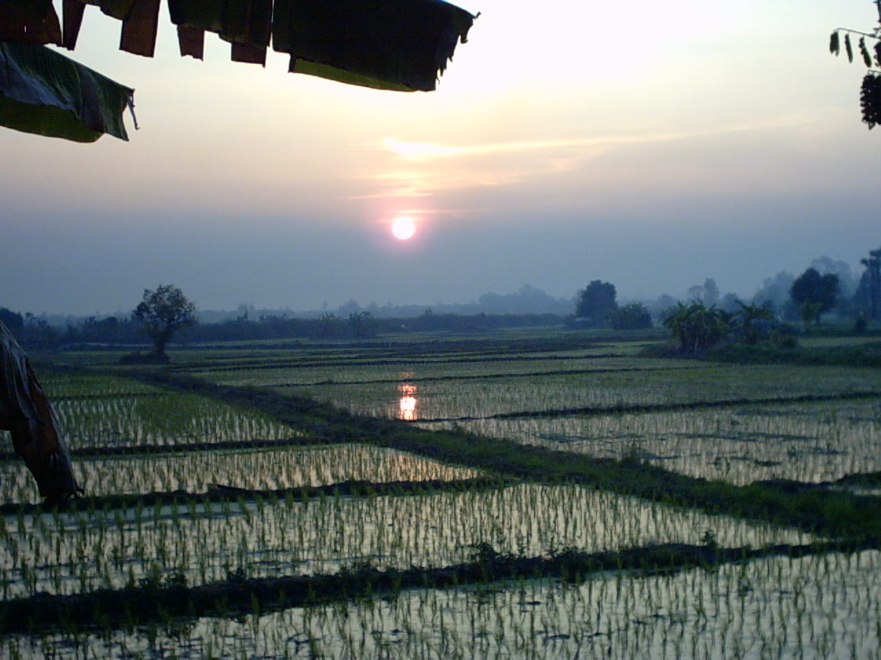 Vue de Maychew