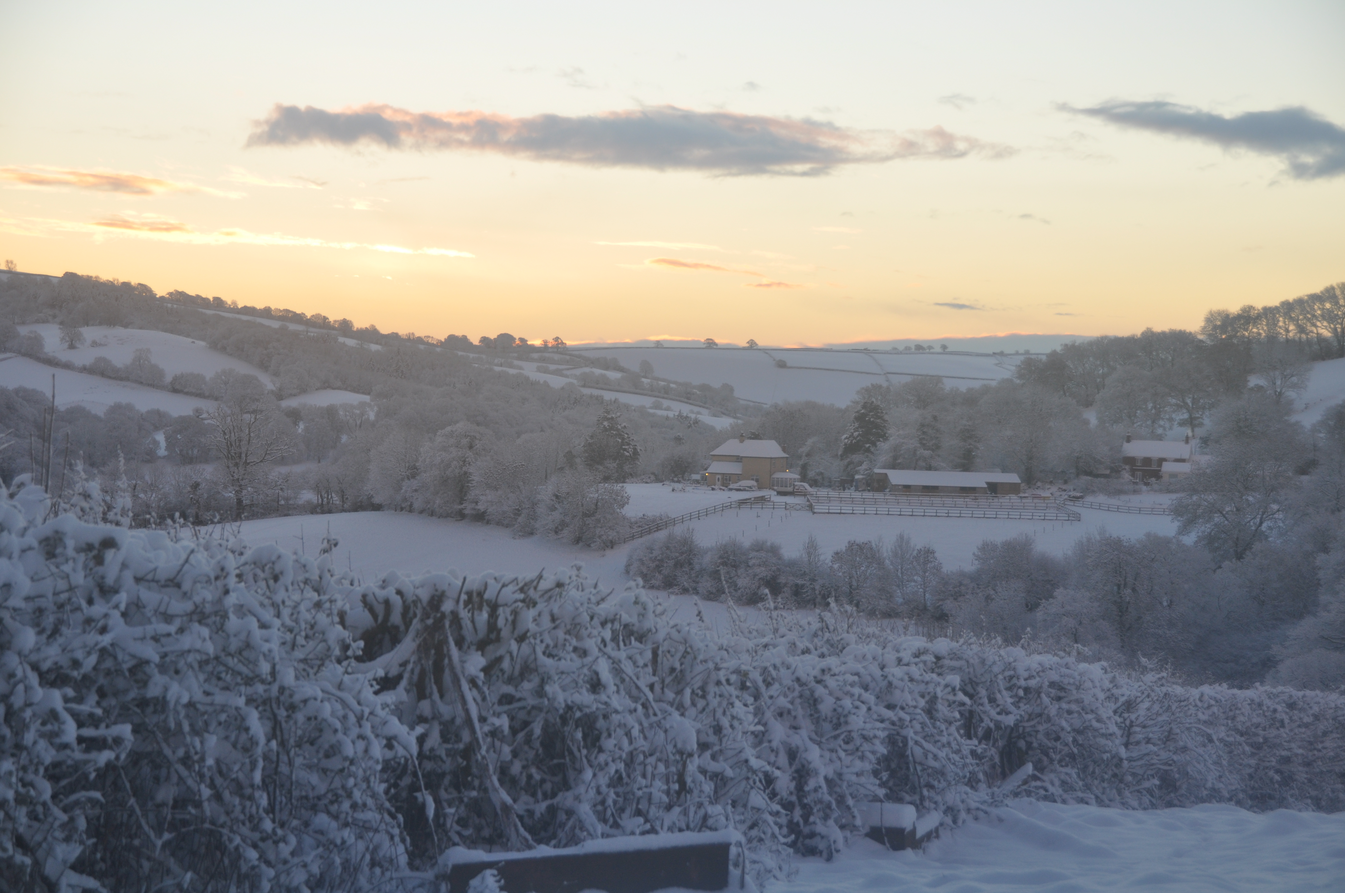 Paysage de Donato Guerra