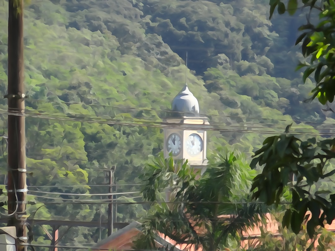 Vue de Freguesia de São Francisco de Xavier