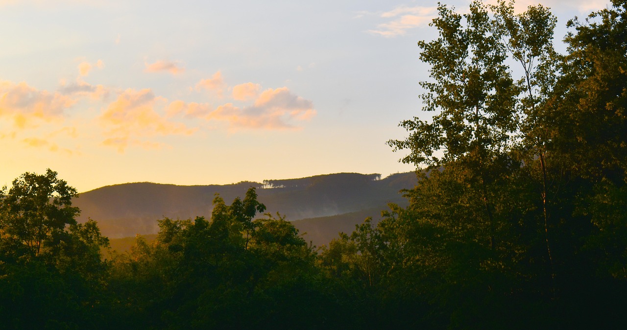 Paysage de Gera