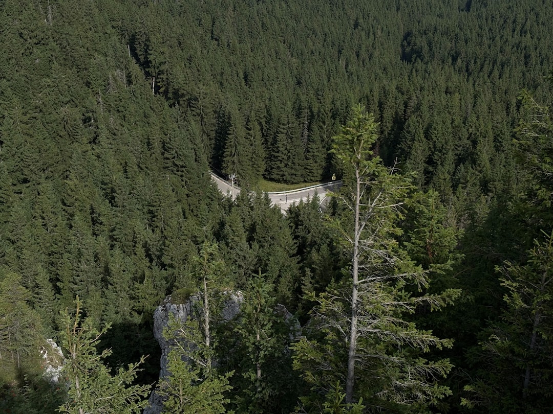 Paysage de Geringswalde