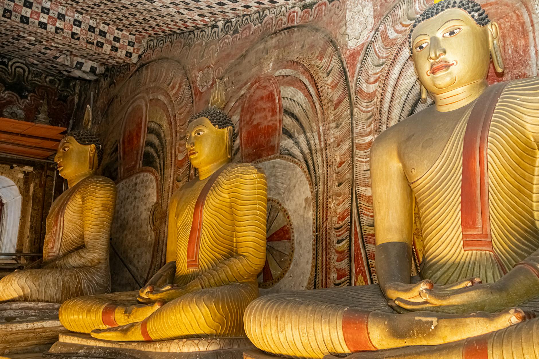Paysage de Gomarankadawala