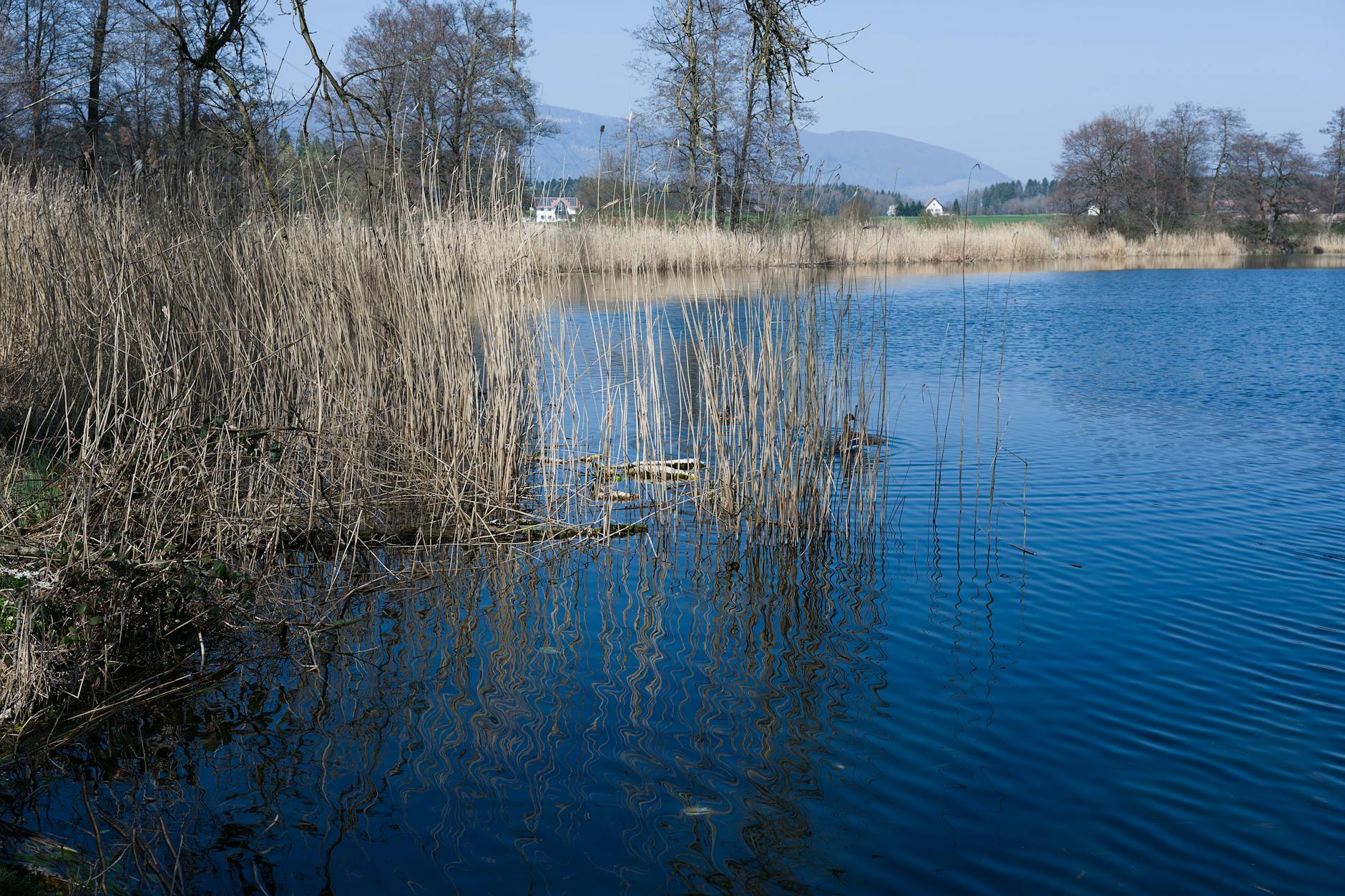 Vue de Grenchen