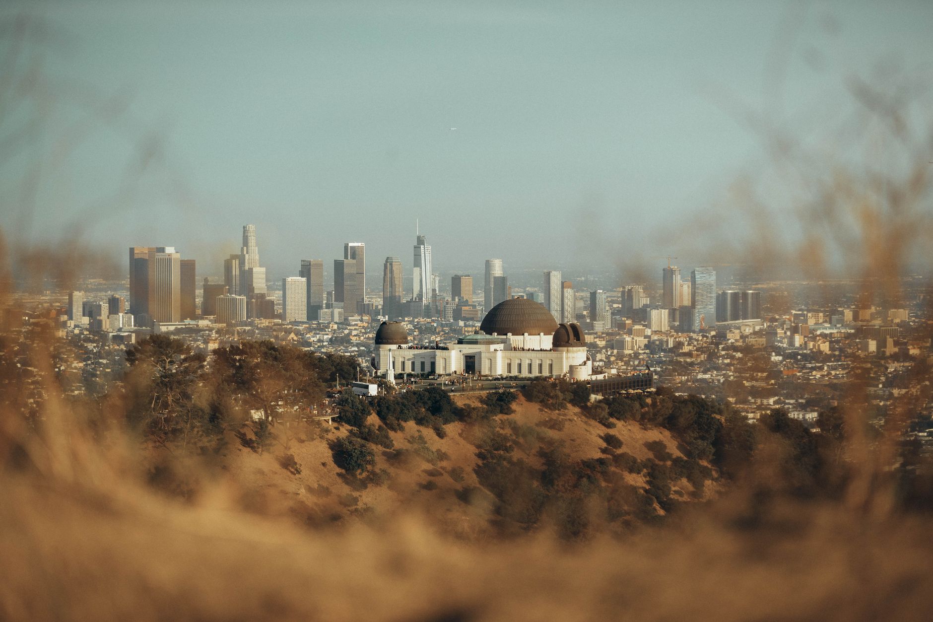 Vue de Griffith