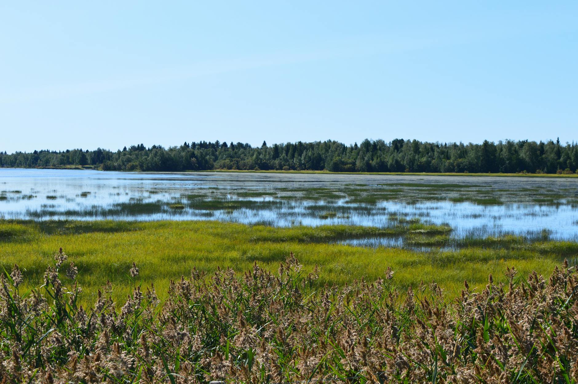 Paysage de Haparanda