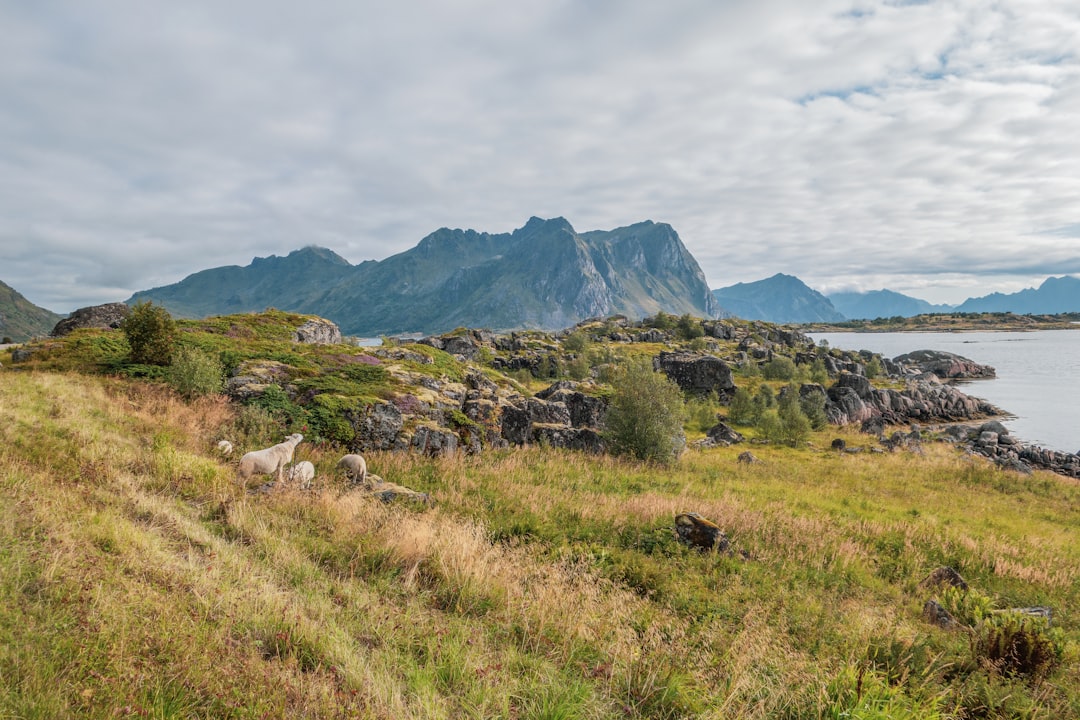 Paysage de Hønefoss