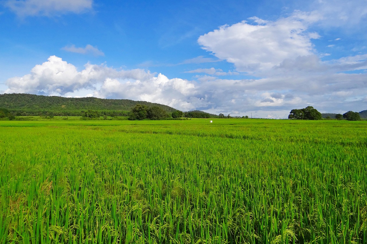 Vue de Hubli