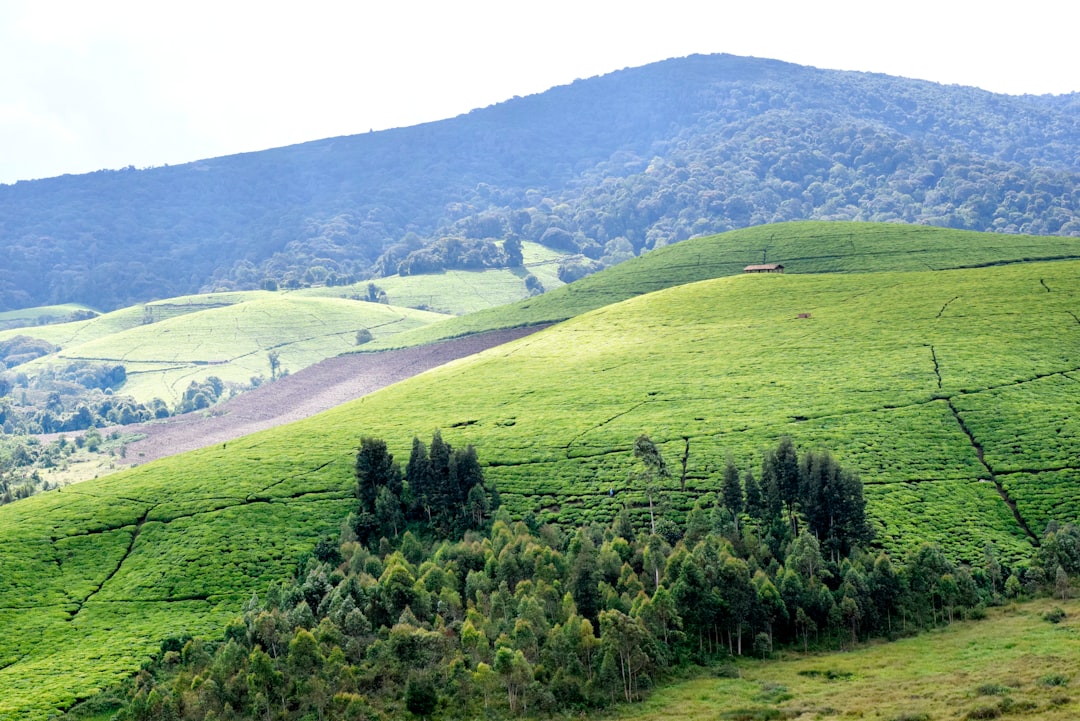 Paysage de Kigwena