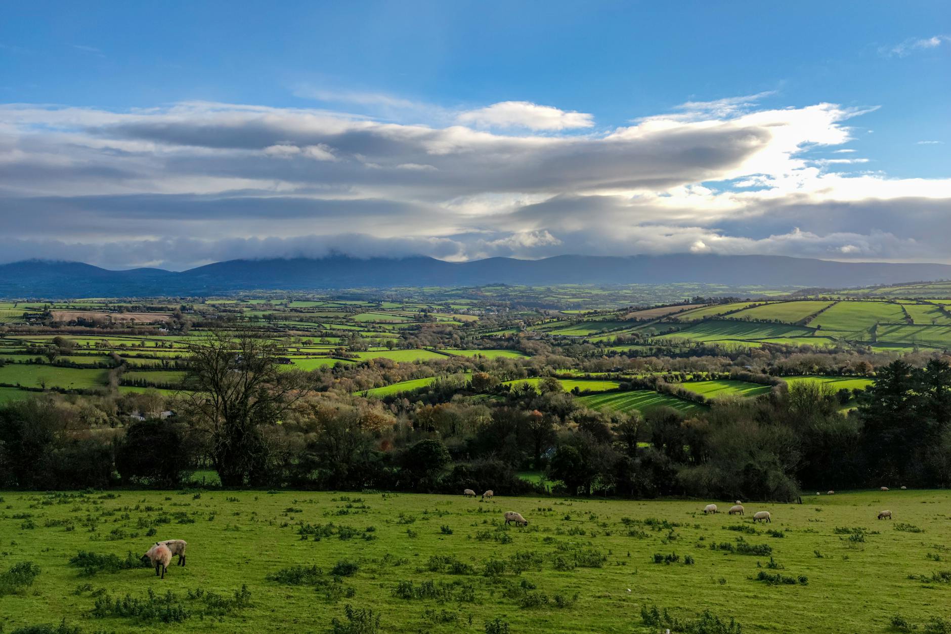 Paysage de Kilkenny