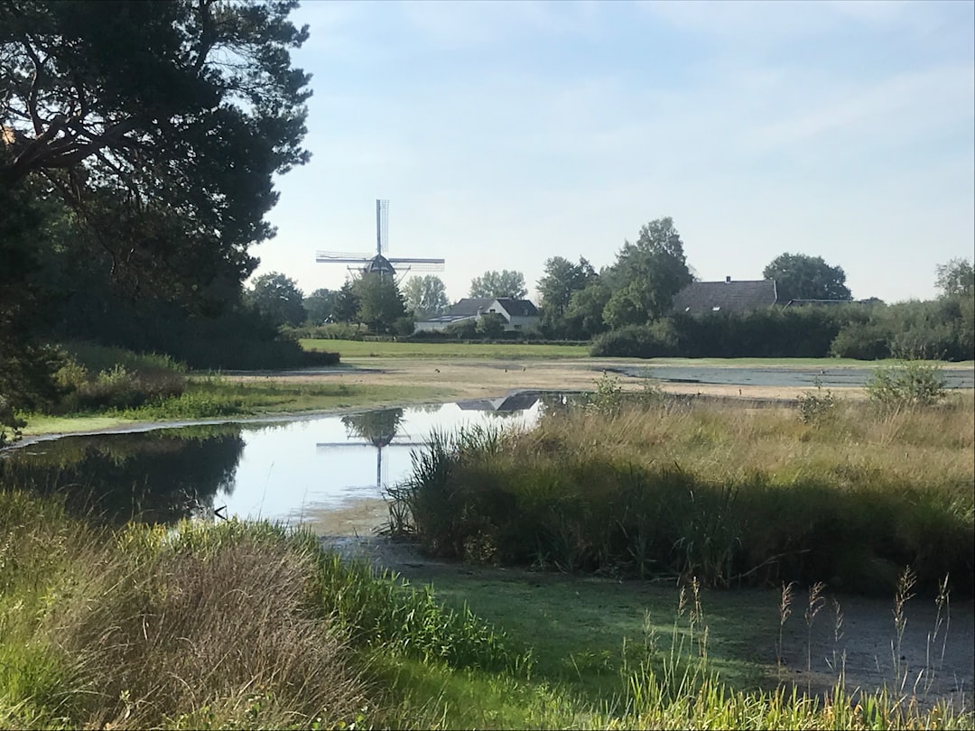 Paysage de Kootwijkerbroek