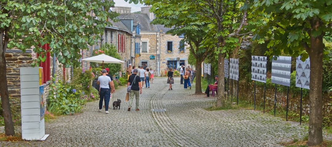Vue de La Ferte Saint Aubin