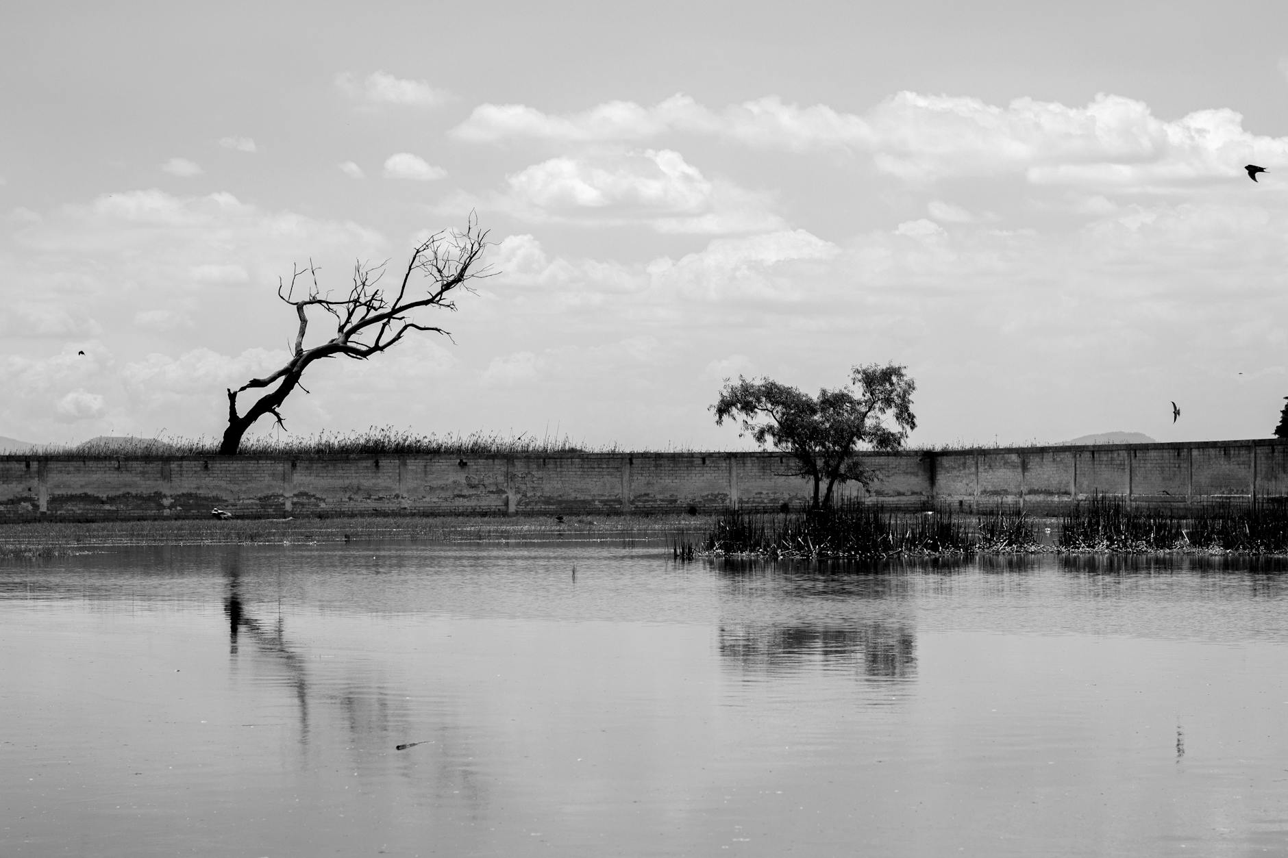 Paysage de La Puebla del Río