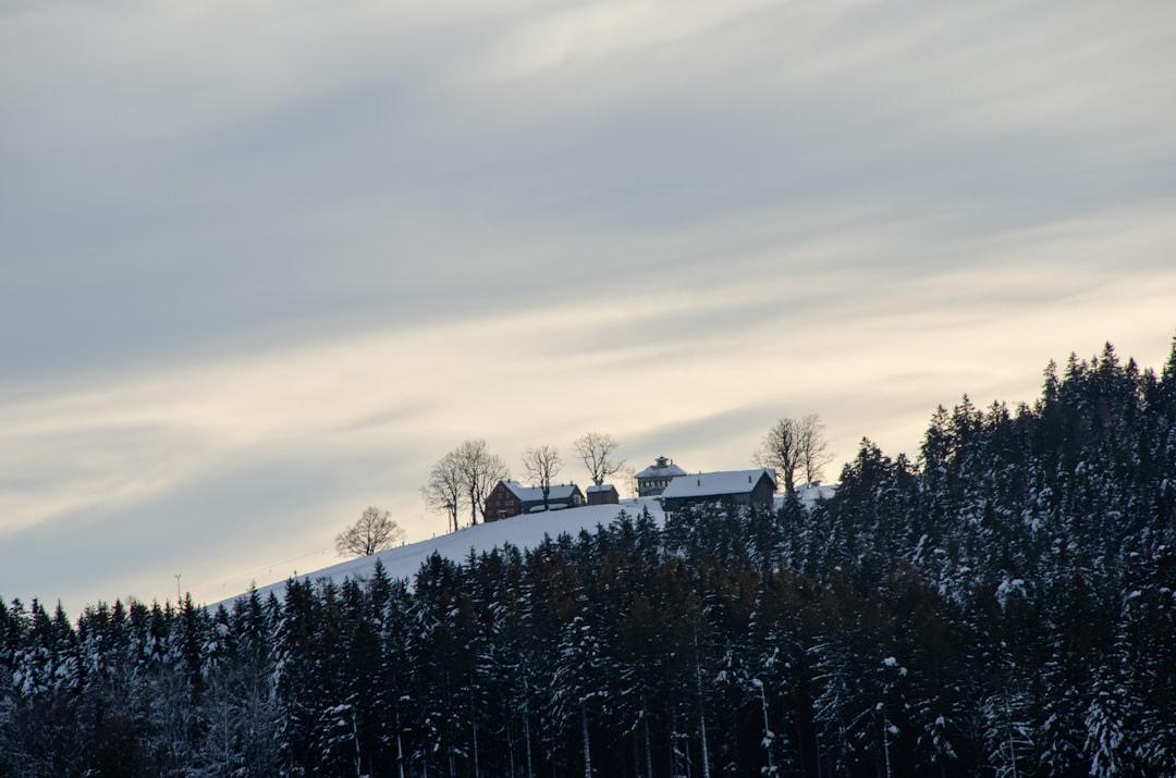 Vue de Liperi
