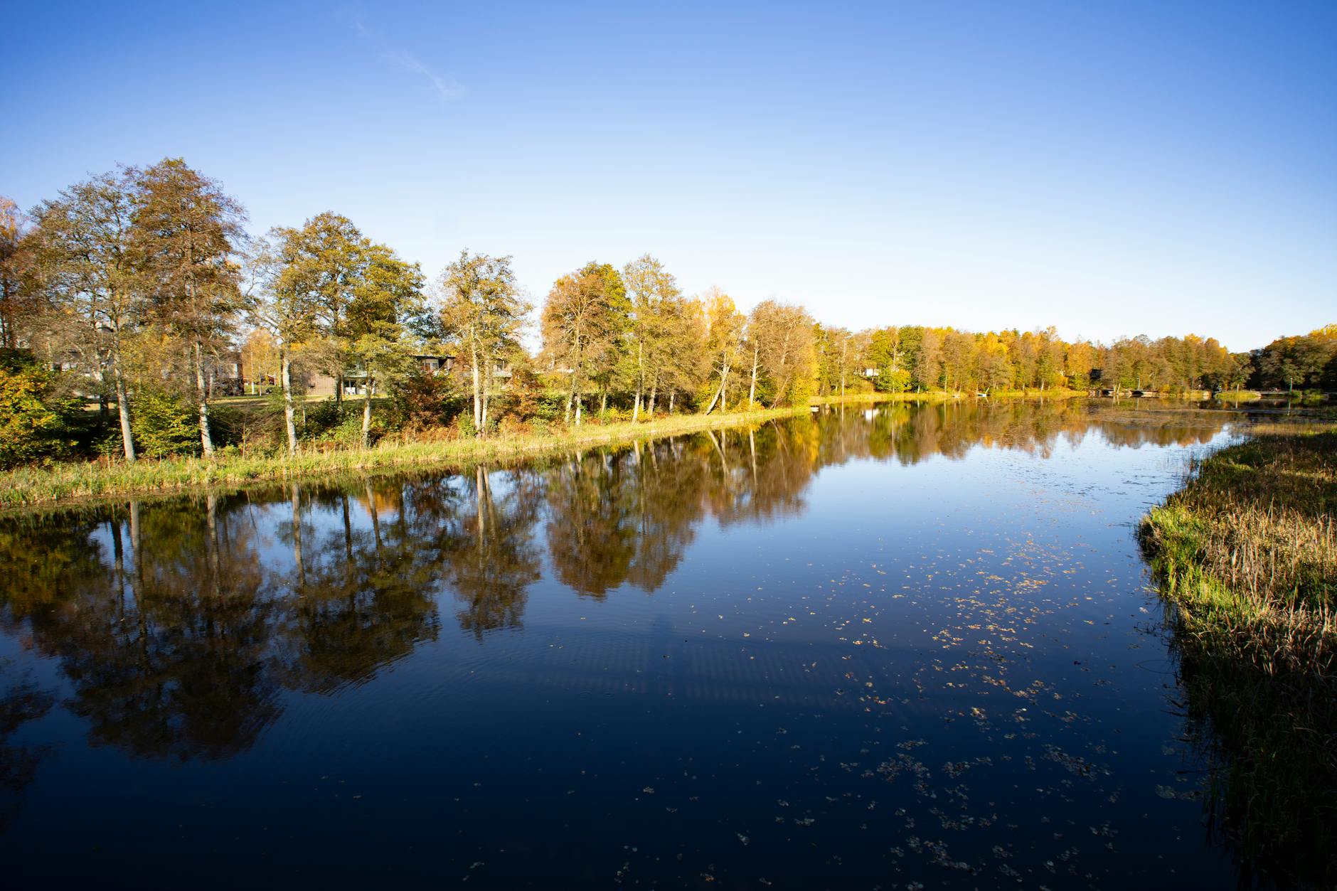 Paysage de Ljungby