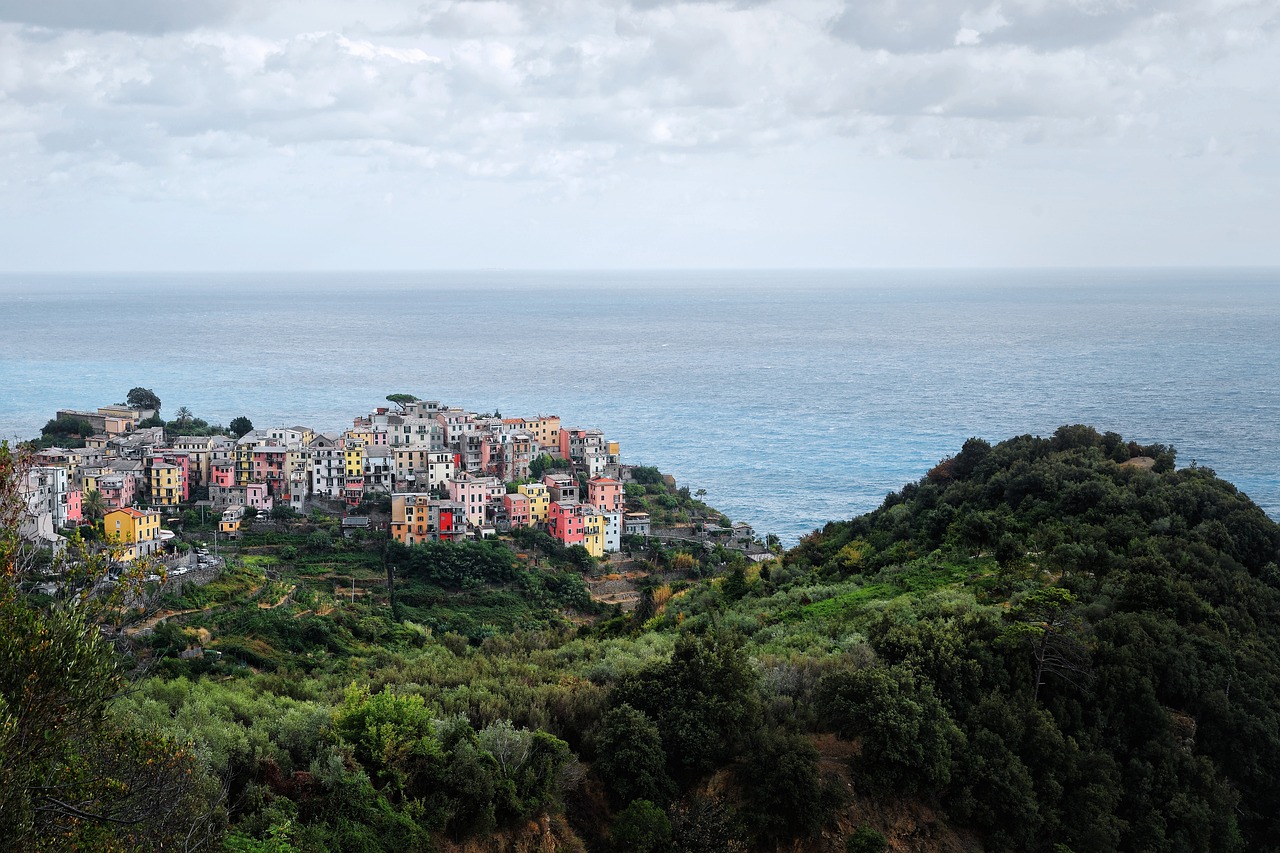 Paysage de M'Bakini