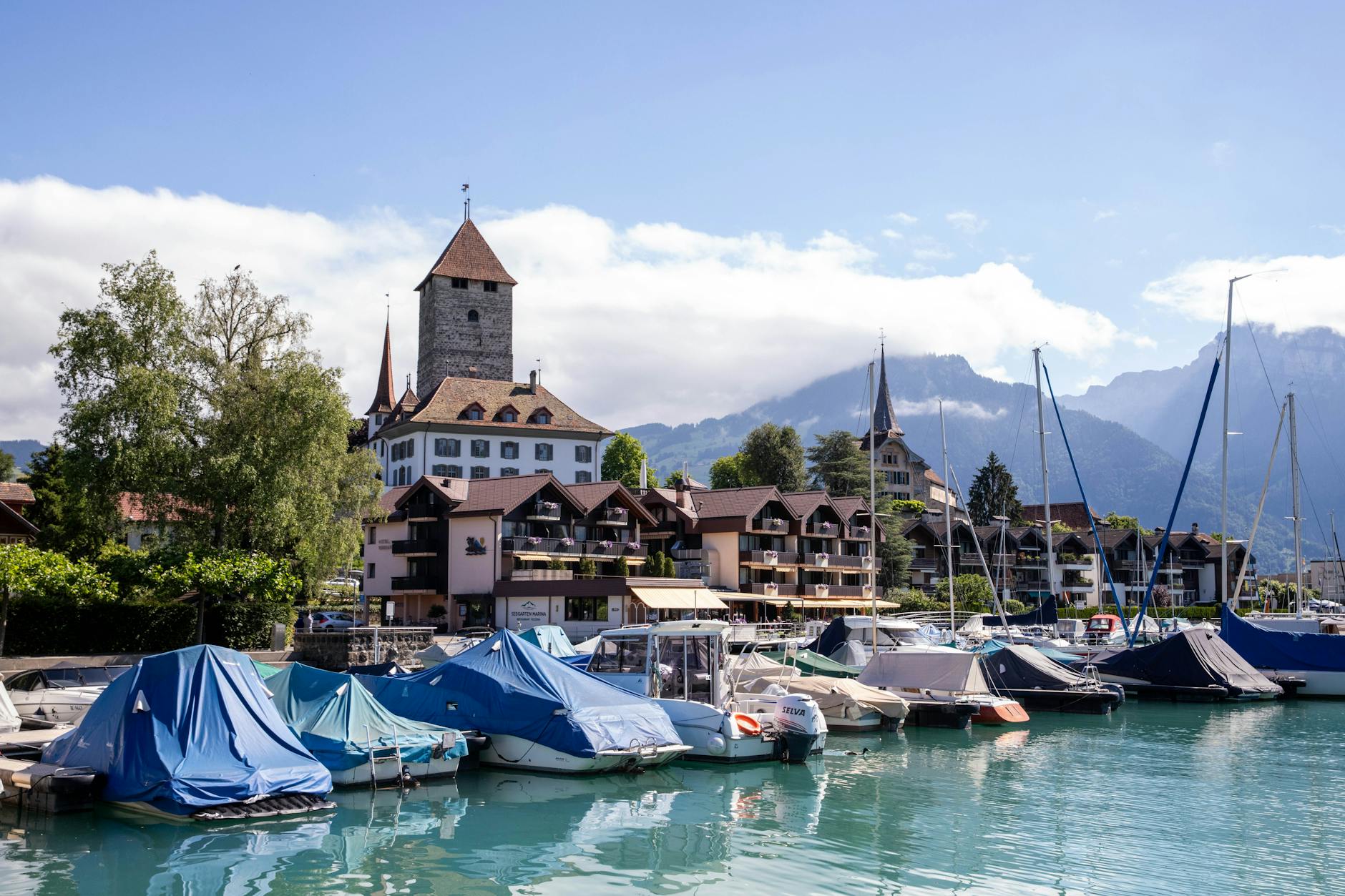 Paysage de Martigny