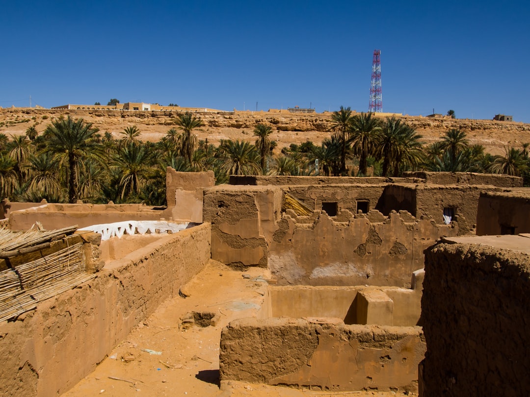 Paysage de Menofia Ashmoun El-Gadida