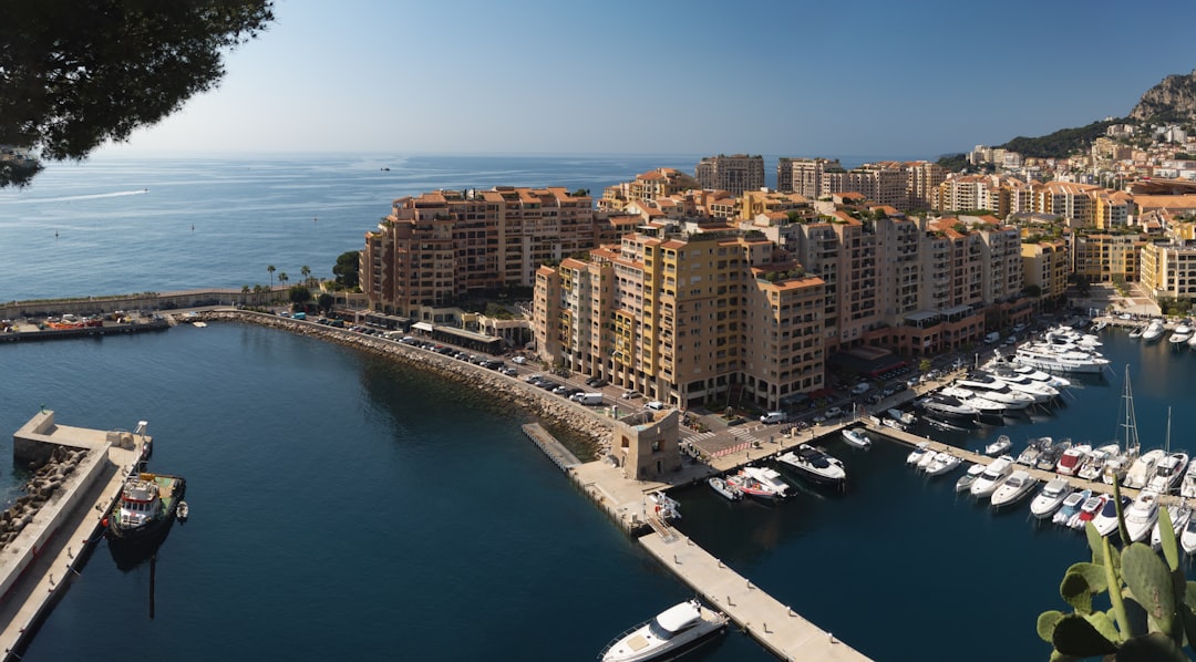 Vue de Monaco-Ville