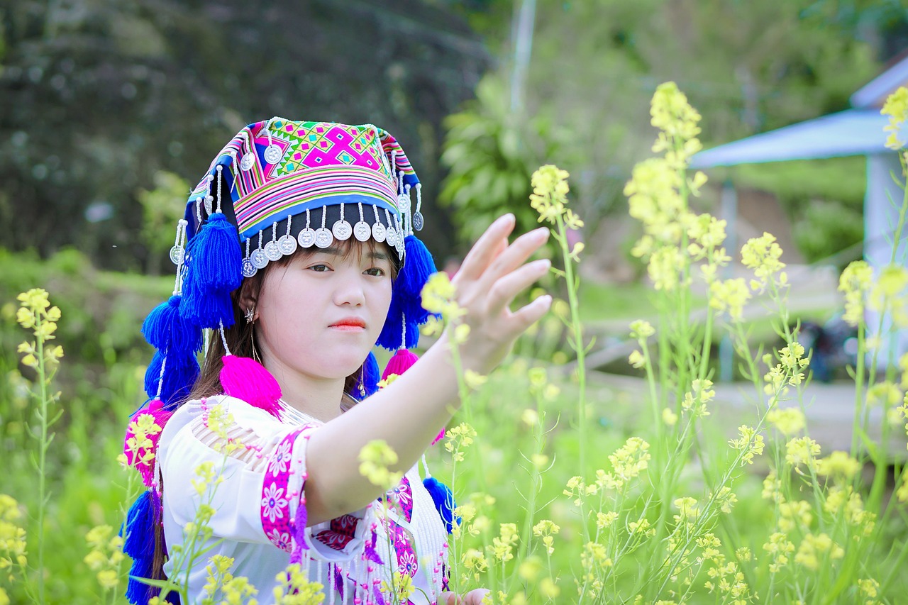 Paysage de Mong Koe