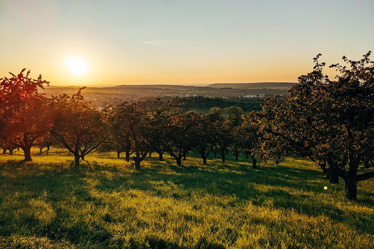 Vue de Mössingen