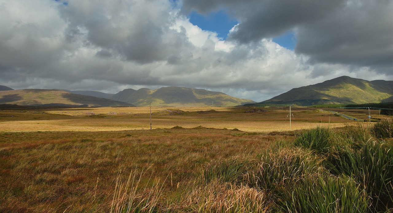 Paysage de Naas