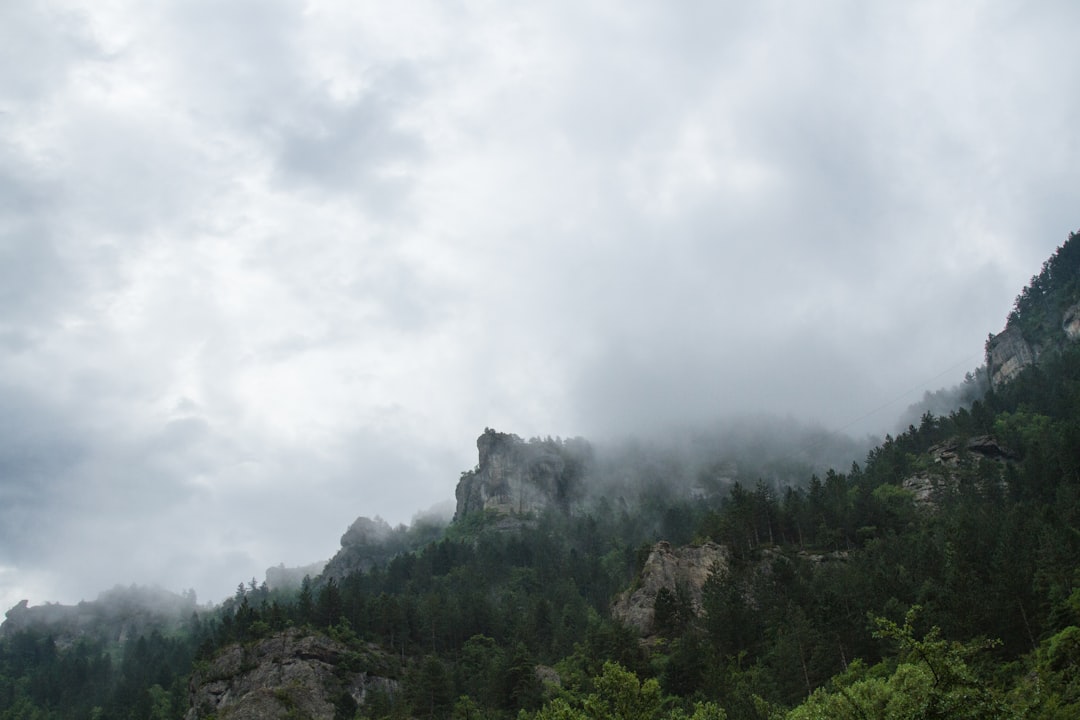 Paysage de Neubiberg