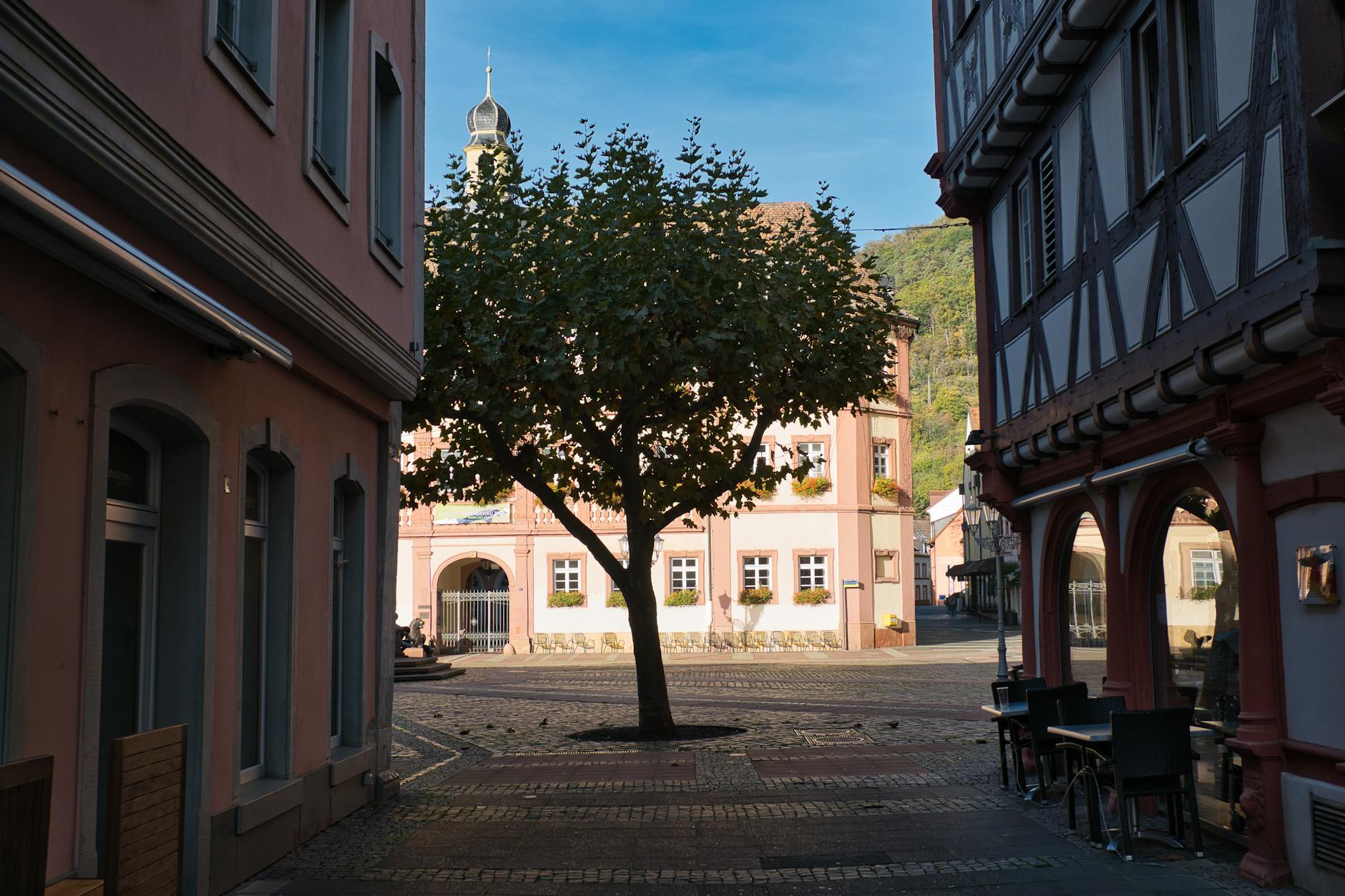 Vue de Neustadt an der Weinstraße