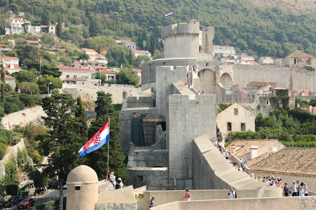 Vue de Novi Bečej