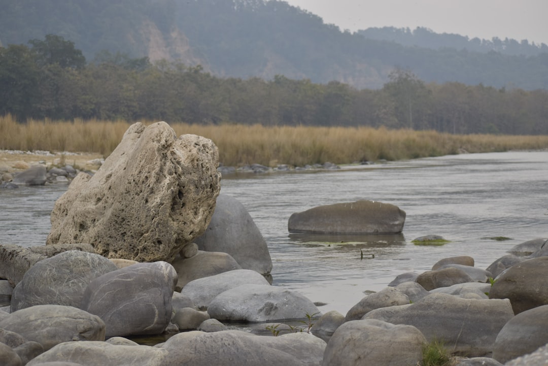 Paysage de Palomares del Río