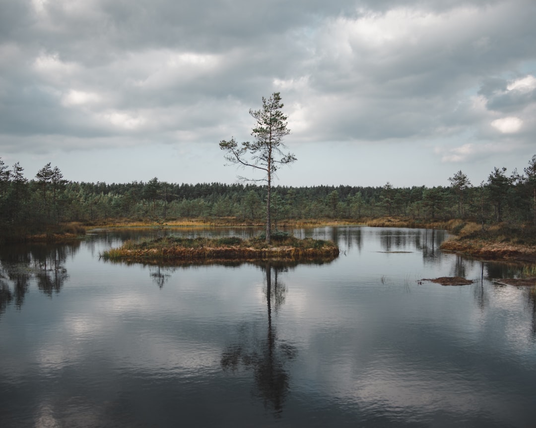Paysage de Piikkiö