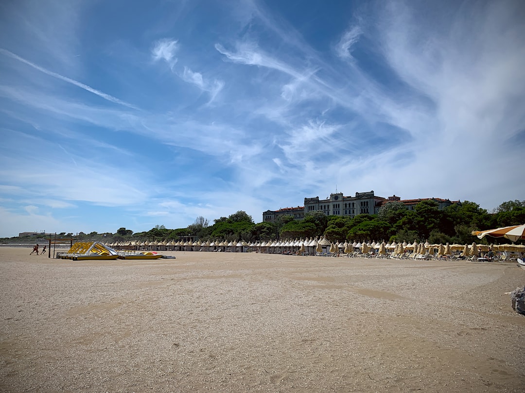 Paysage de Plage de Raisin Chianti