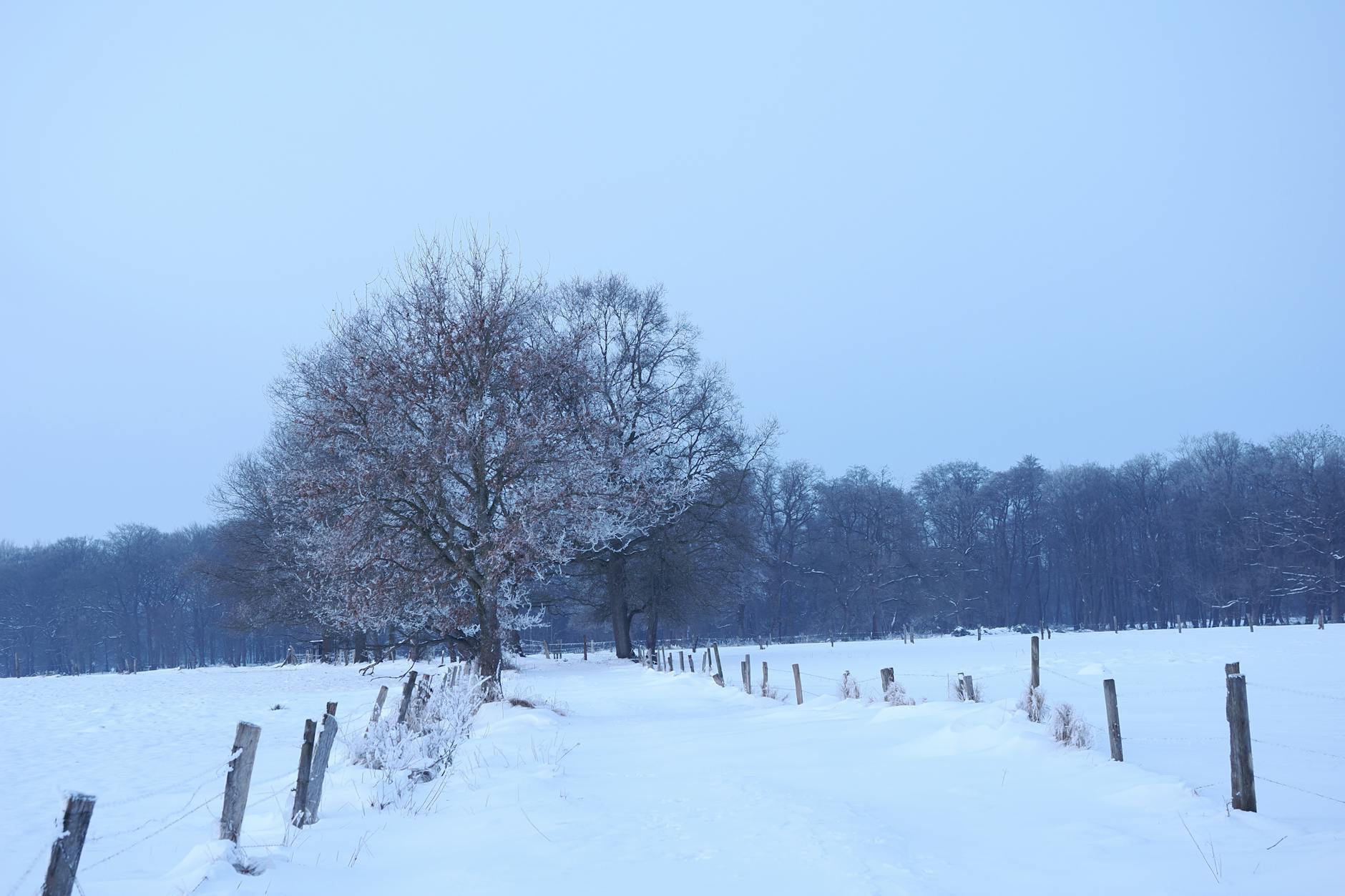 Paysage de Preußisch Oldendorf