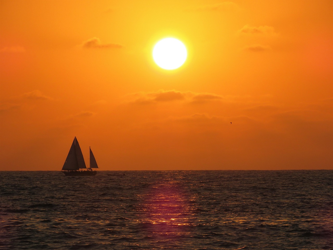 Paysage de Puerto Suárez