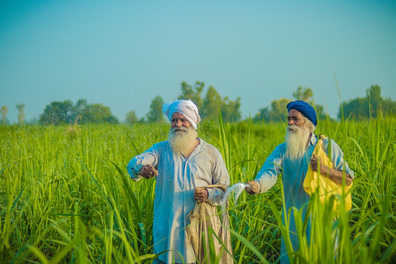 Vue de Punjab