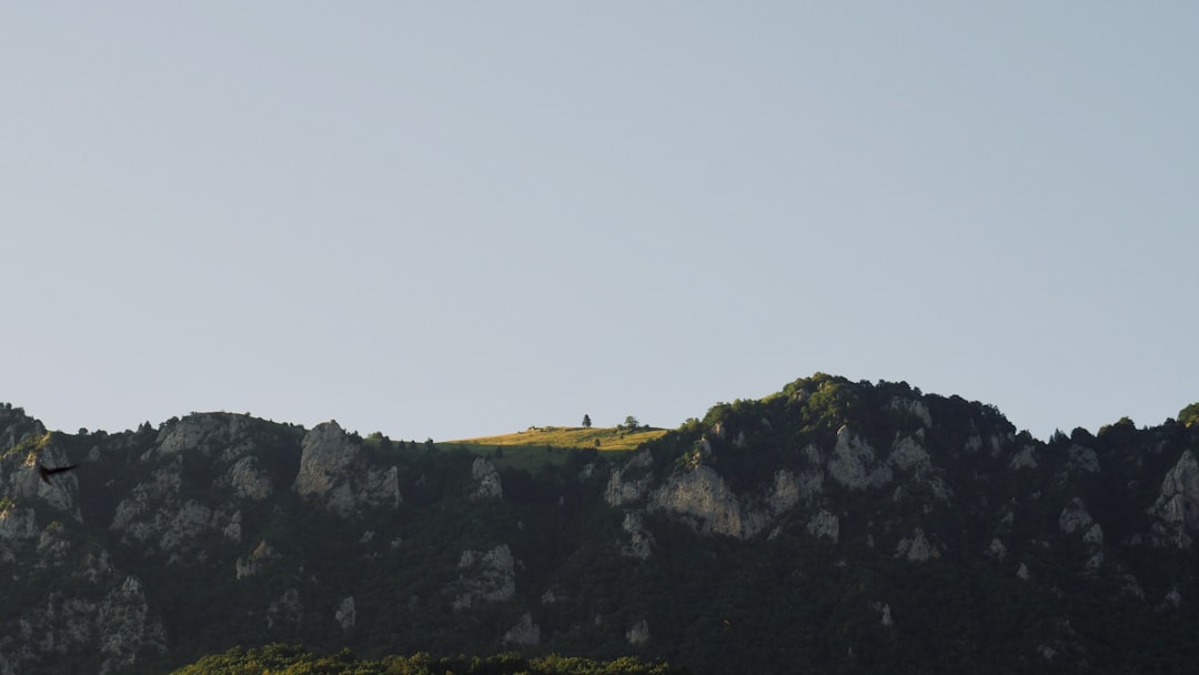 Paysage de Ravenswaaij